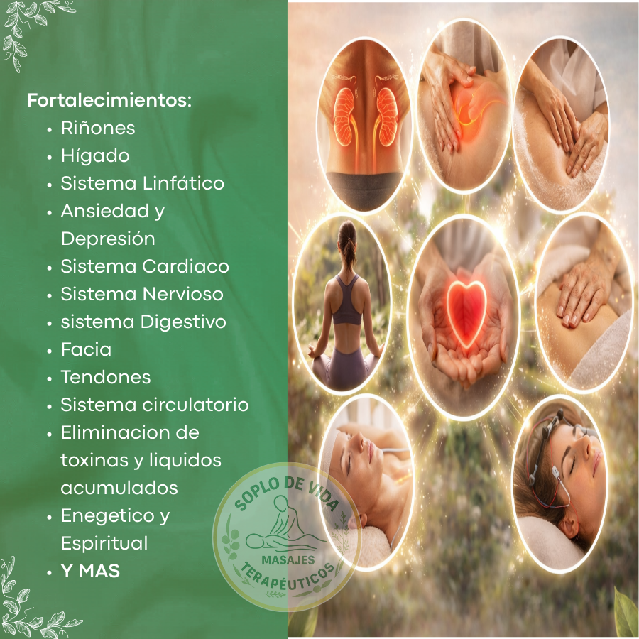 Fortalecimimentos